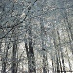 travelguideromania_sf ana (7)