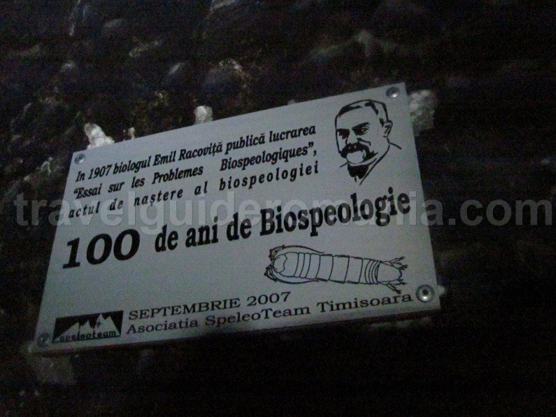 Cetatile Ponorului cave - Apuseni mountains