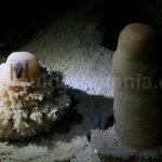 The most beautiful caves in Romania