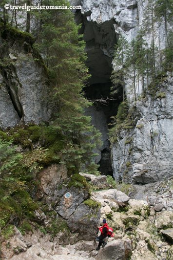 track to Cetatile Ponorului Cave - Apuseni Mountains
