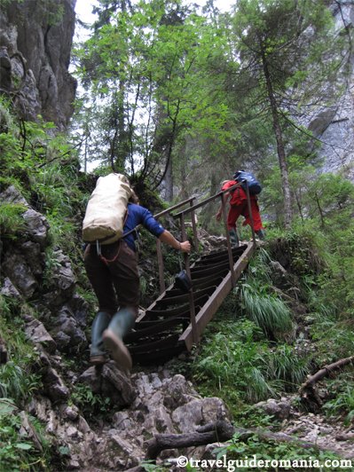The path for Cetatile Ponorului cave travel guide romania - Apuseni Nature Park