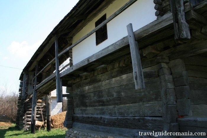 Curtisoara Museum Travel Guide Romania-Curtisoara Museum