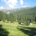 camping site in Poiana Pelegii – Retezat mountains