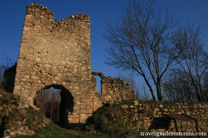 Knyaz of Salasul de Sus sec XIV Knyaz of Salasul de Sus sec XIV