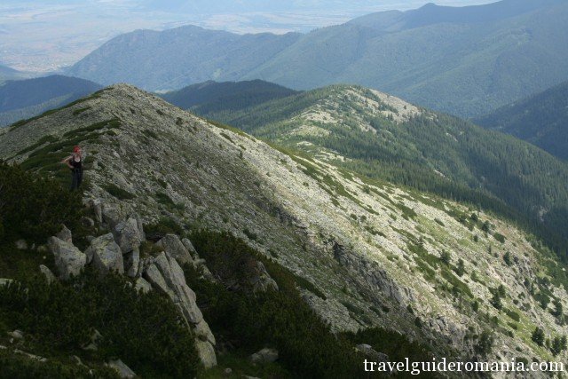 Lolaia ridge - Retezat National Park