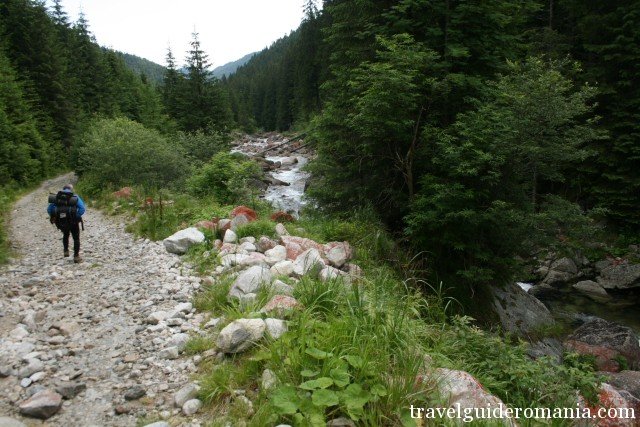 Pietrele valley - Retezat national Park