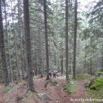hiking path to Pietrele lodge