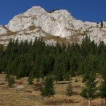 Pietrele Albe – White Rocks in Vladeasa area