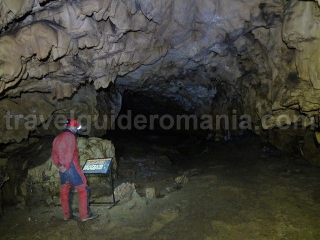 The museum of Ursus Spealeus chamber