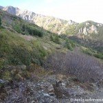 The road taking to Iezerul lake – Rodnei mountains