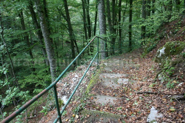 path leading to Comarnic cave