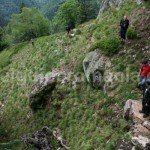 Track in Apuseni mountains – Bohodei waterfall track