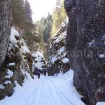 Scorotei gorges in  Limestone Retezat