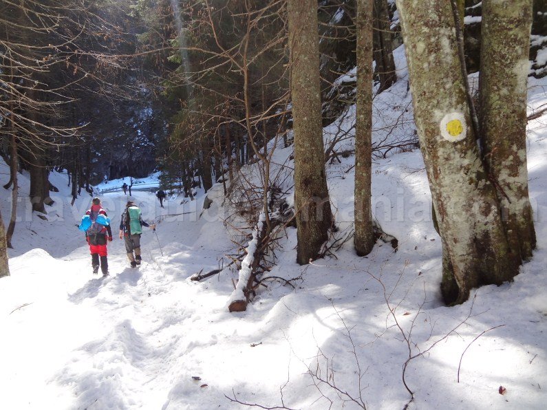 hiking in Piule - Iorgovanul mountains Trails in Retezat Mountains