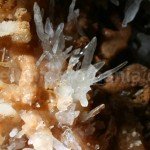 Caving in Padurea Craiului – Crystal cave in Farcu mine