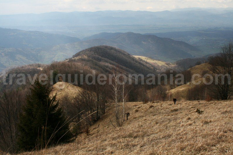 Climbing to Tataroaia Peak - Apuseni Natural Park