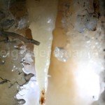 Crystal cave in Apuseni mountains