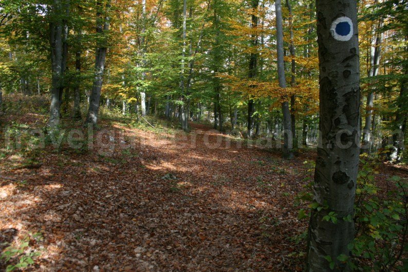 The path leading to Lazurilor gorge viewpoint