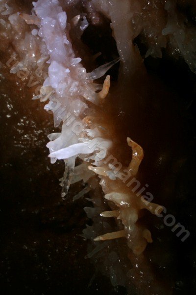 Touristic caving in Crystal cave