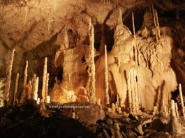 Pestera Ursilor (The Bears Cave) Bear's cave - Romania