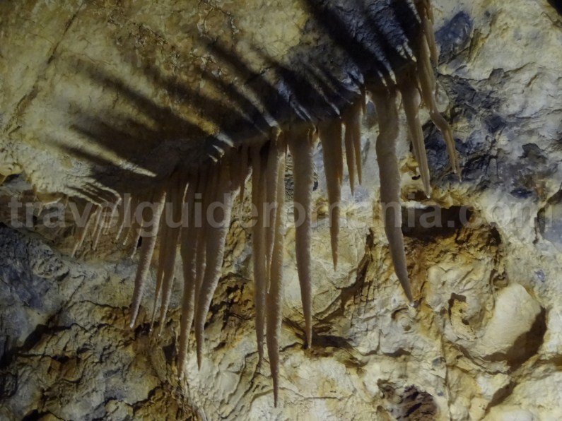 stalactites in Pestera Ursilor