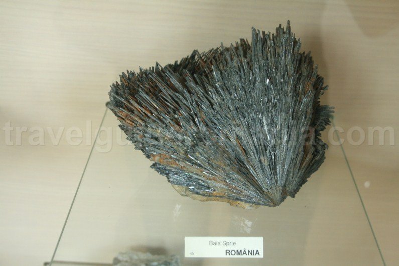 Exhibit from Gold Museum - Brad city