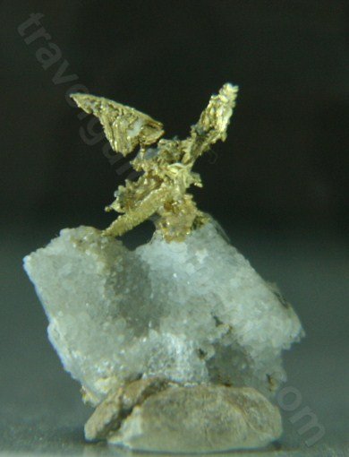 Exhibit in the Gold Museum