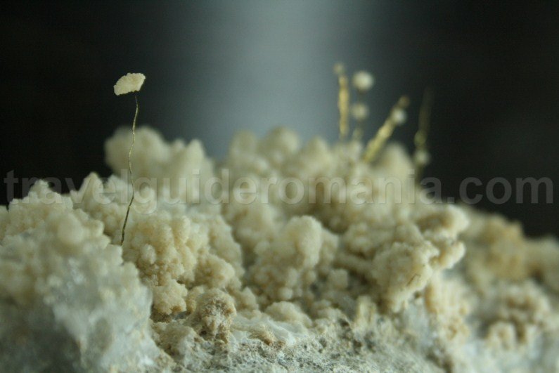 Gold Museum from Zarandului Country