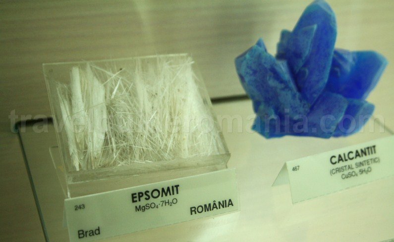 Minerals and ores from Gold Museum - Brad City