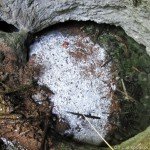 Bortig Pit Cave – Apuseni Mountains