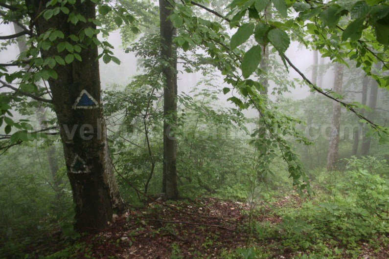 Access from Sighiștelului Valley route (marked with blue triangle signs)