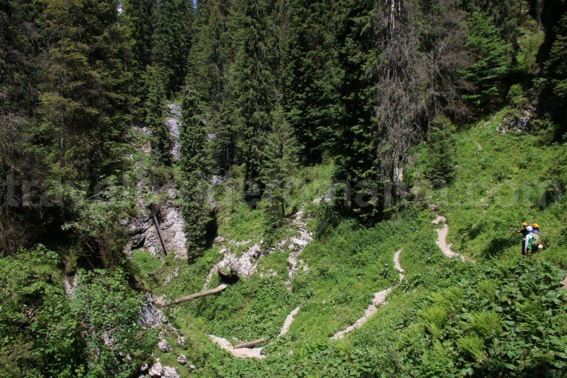 Trail to Cetatile Radesei Cave