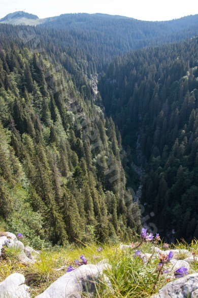 View of Somesul Cald Valley