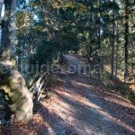 Trekking to Scarisoara Ice Cave – Apuseni Mountains