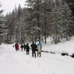 Stana de Vale ski resort – Apuseni Mountains – Romania