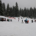 Travel to Stana de Vale resort – near Beius town