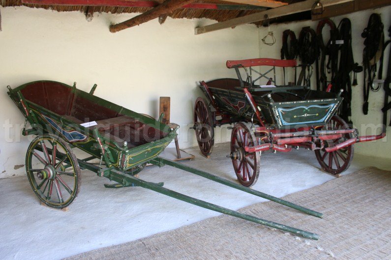 Traditional objects from Dobrogea - Tulcea Traditional objects from Dobrogea - Tulcea - Romania