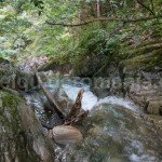 Adventure activities in Romania – Canyoning in Retezat Mountains