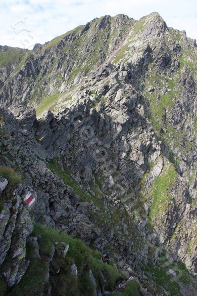 Custura Saratii Ridge - red stripe marker Custura Saratii Ridge - red stripe marker - Fagaras Mountains