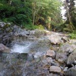Entrace to Marii Canyon in Retezat Mountains – Romania