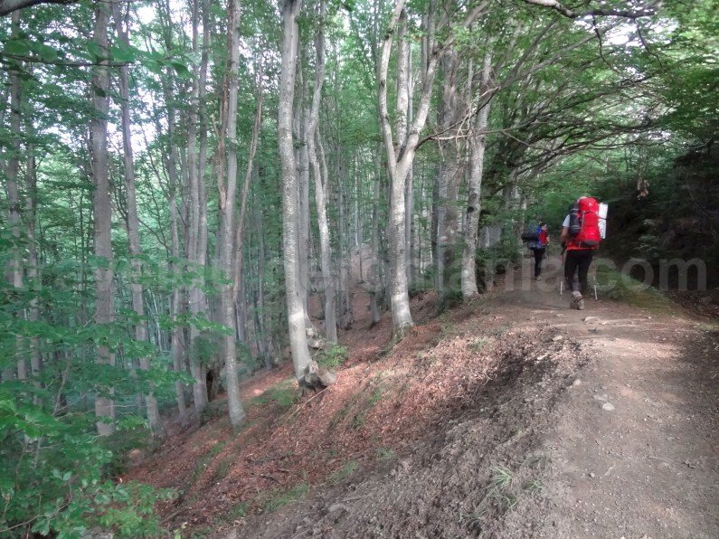 Hiking to Fagaras Mountains - starting from Sebesul de Sus village Hiking to Fagaras Mountains - starting from Sebesul de Sus village