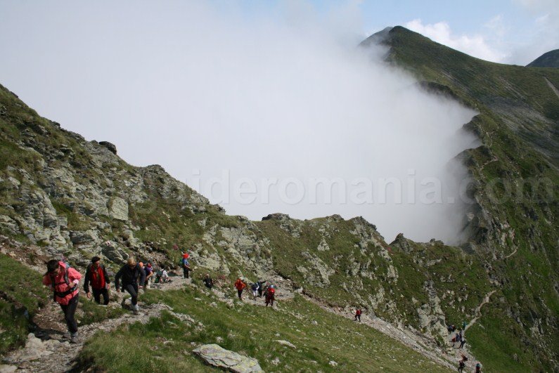 The ridge of Fagaras Mountains - stage between Lake Caltun and Lake Capra