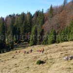 Acces to V5 cave – Varasoaia area – Bihor Mountains