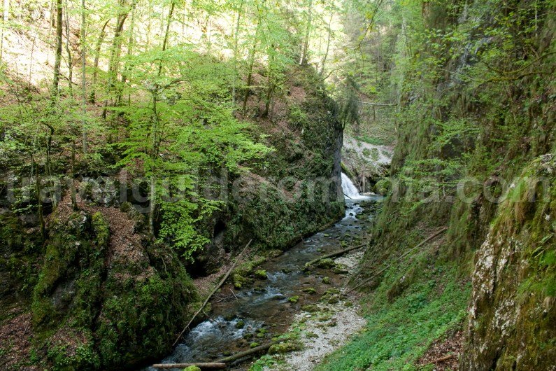 Trips to Apuseni Mountains - Travel Guide Romania