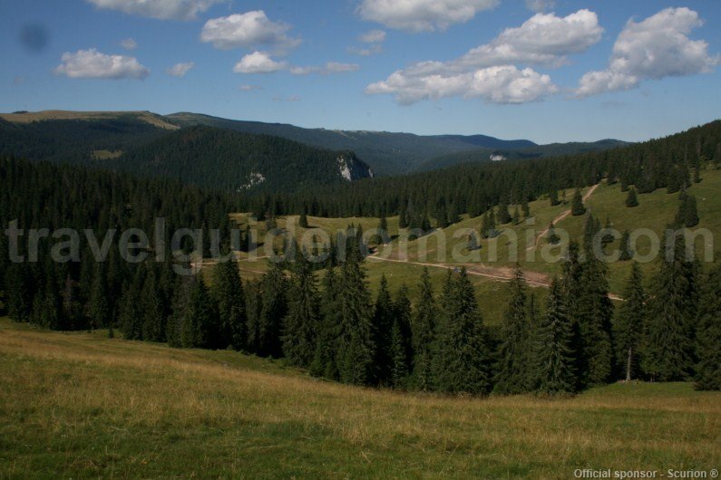 Varasoaia Glade - Padis - Apuseni Mountains