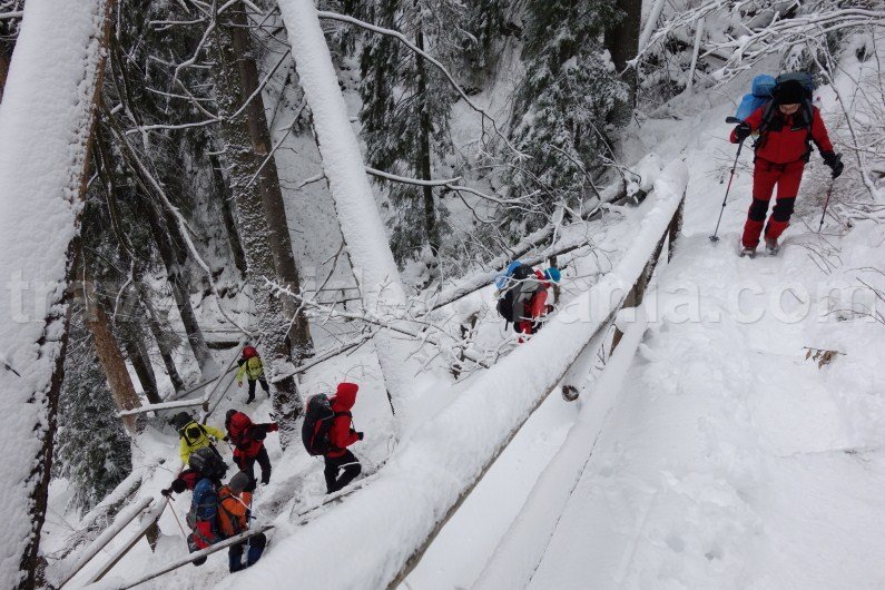 Climbing to Toaca Peak from Duruitoarea waterfall - Ceahlau Mountain