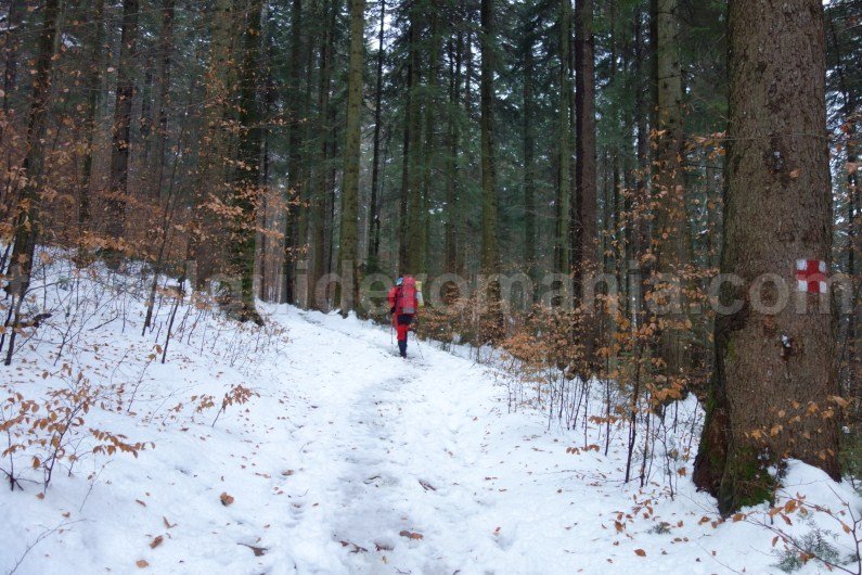 Hiking in Romania - Trails in Ceahlau Mountain