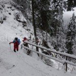 Trekking and hiking in Romania – Ceahlau Mountains