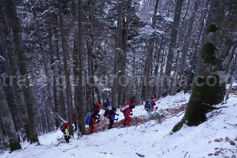 Climbing to Gugu shelter - Godeanu Mountains