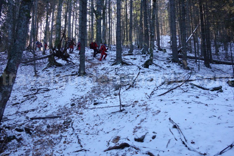 Descending from Gugu refuge - Godeanu mountains